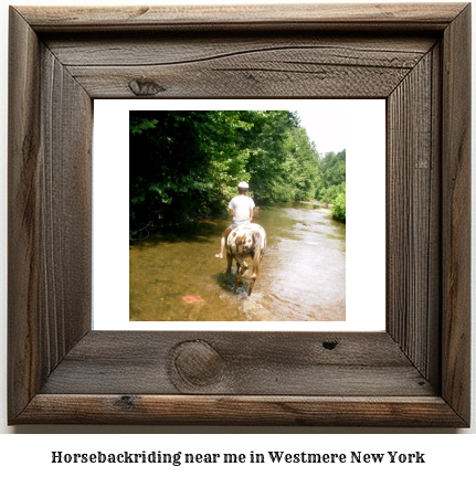 horseback riding near me in Westmere, New York